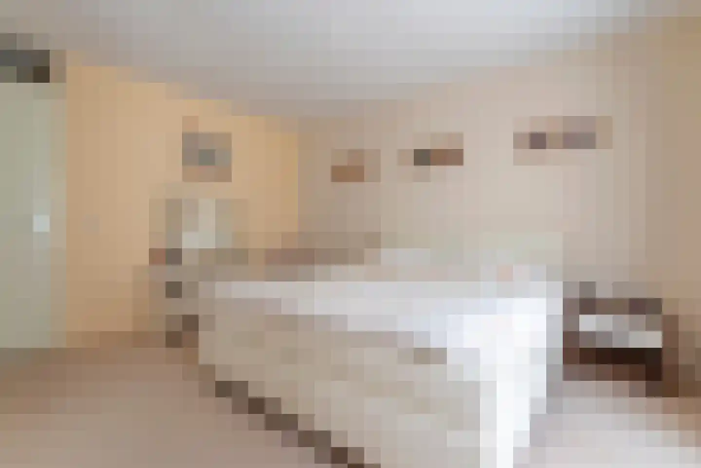 Sterrenwacht 35 Veenendaal thumbnail 16
