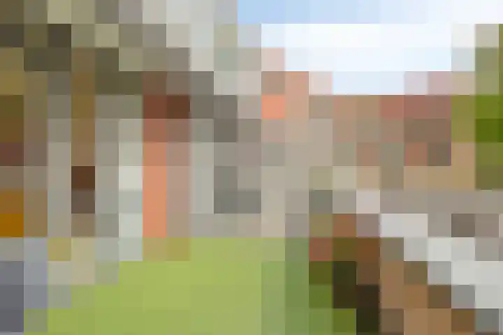 Sterrenwacht 45 Veenendaal thumbnail 20