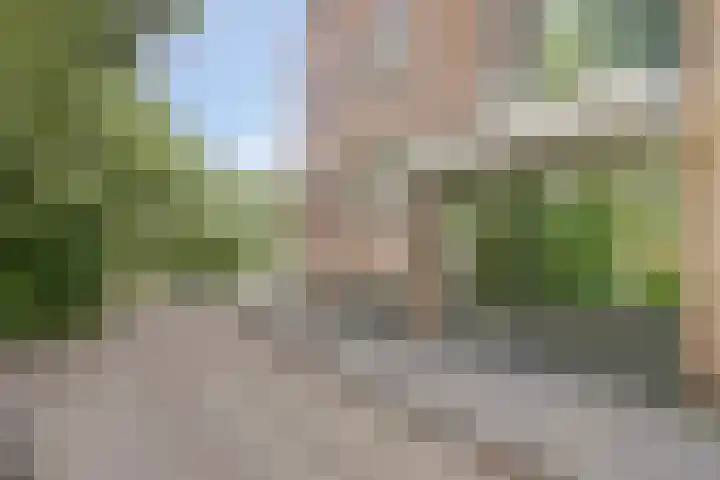 Sterrenwacht 45 Veenendaal thumbnail 25