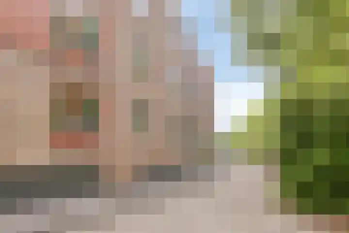 Sterrenwacht 45 Veenendaal thumbnail 26