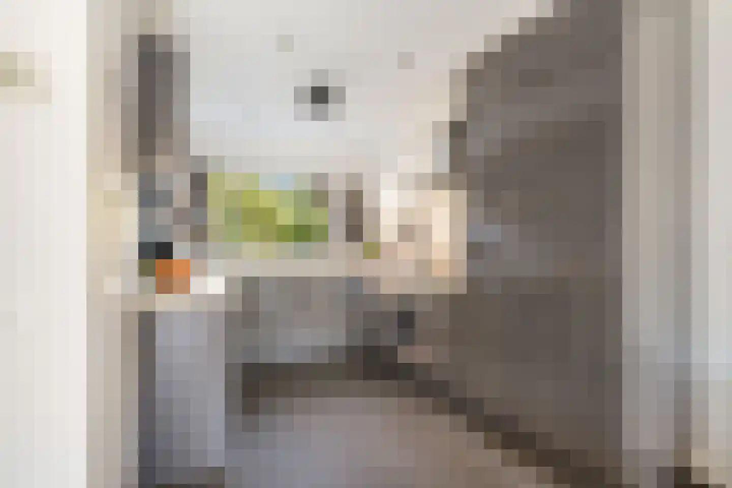 Sterrenweg 3 b Berkel en Rodenrijs thumbnail 20