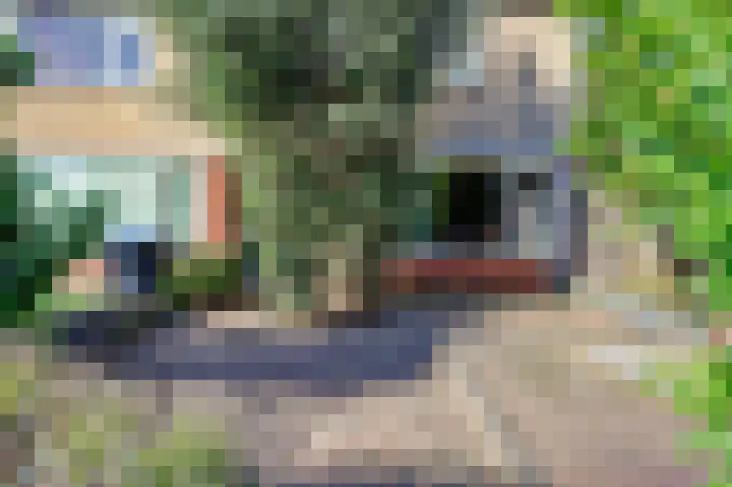Sterrenweg 31 Berkel en Rodenrijs thumbnail 10