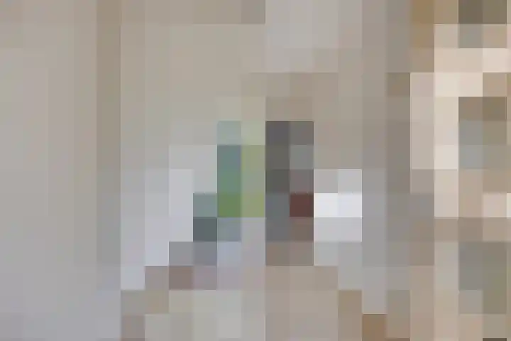 Sterrenweg 47 Berkel en Rodenrijs thumbnail 9