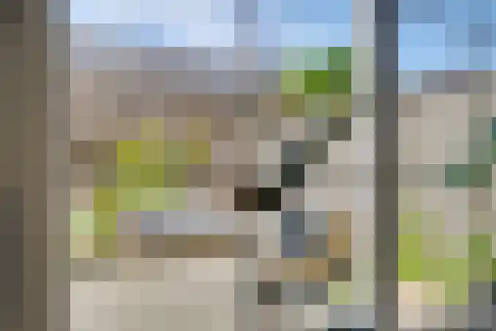 Sterrenzand 12 Naaldwijk thumbnail 11