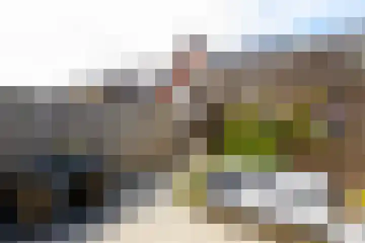 Sterrenzand 12 Naaldwijk thumbnail 14