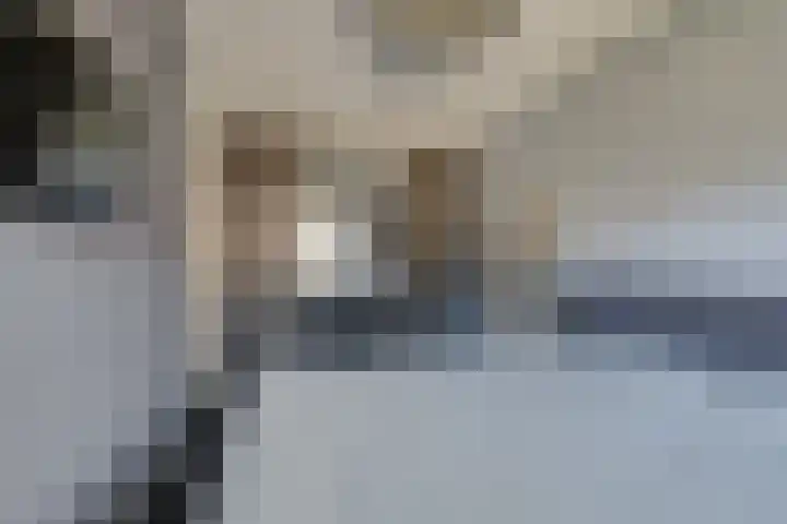 Sterrenzand 12 Naaldwijk thumbnail 20