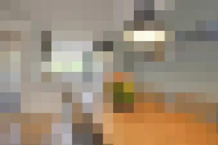 Sterrenzand 12 Naaldwijk thumbnail 4