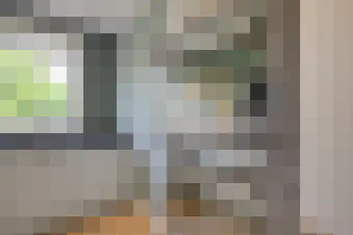 Sterrenzand 12 Naaldwijk thumbnail 6