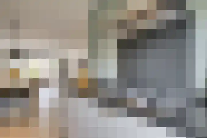 Sterrenzand 12 Naaldwijk thumbnail 8