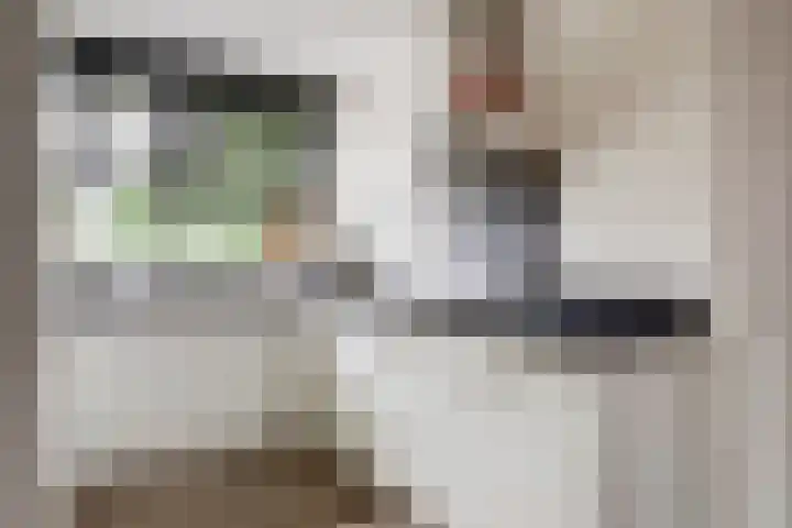 Sterrenzand 16 Deest thumbnail 13