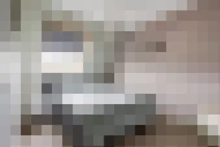 Sterrenzand 16 Deest thumbnail 15