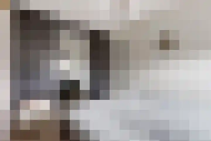 Sterrenzand 16 Deest thumbnail 16