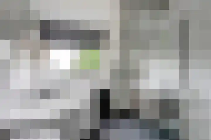 Sterrenzand 16 Deest thumbnail 19