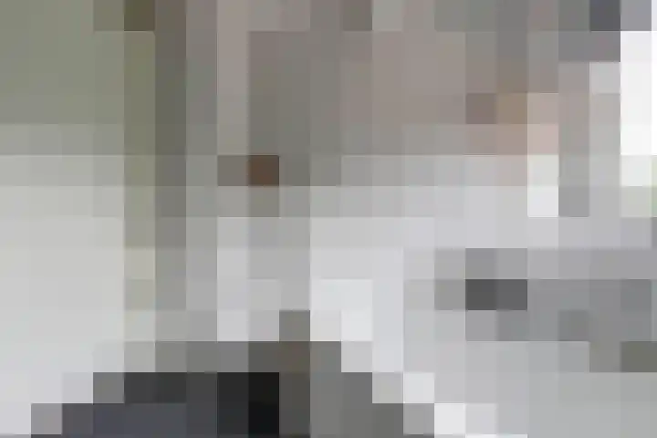 Sterrenzand 16 Deest thumbnail 20