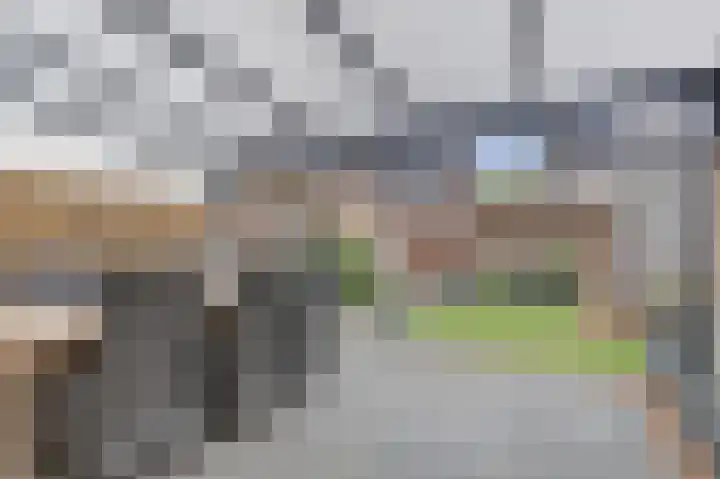 Sterrenzand 16 Deest thumbnail 25