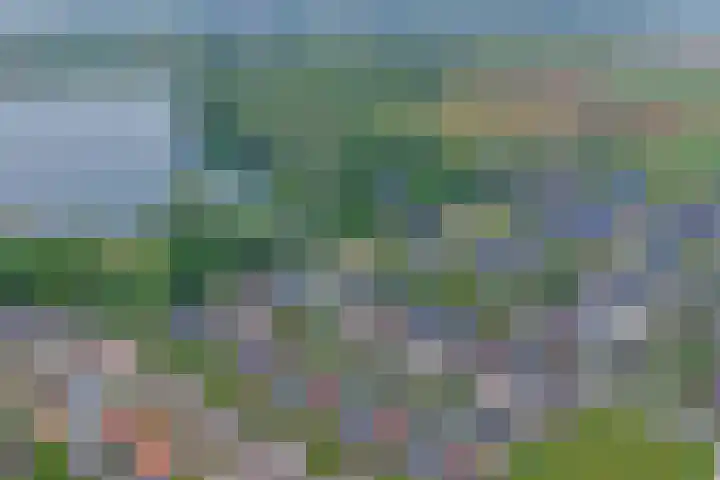 Sterrenzand 16 Deest thumbnail 29