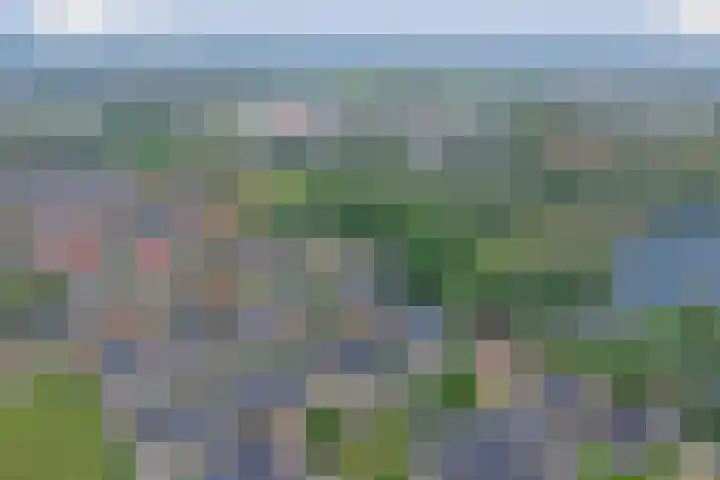 Sterrenzand 16 Deest thumbnail 31