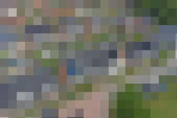 Sterrenzand 16 Deest thumbnail 32