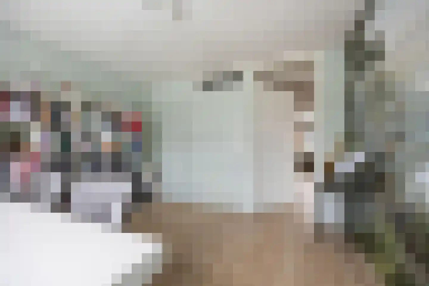 Sterrenzand 20 Deest thumbnail 18