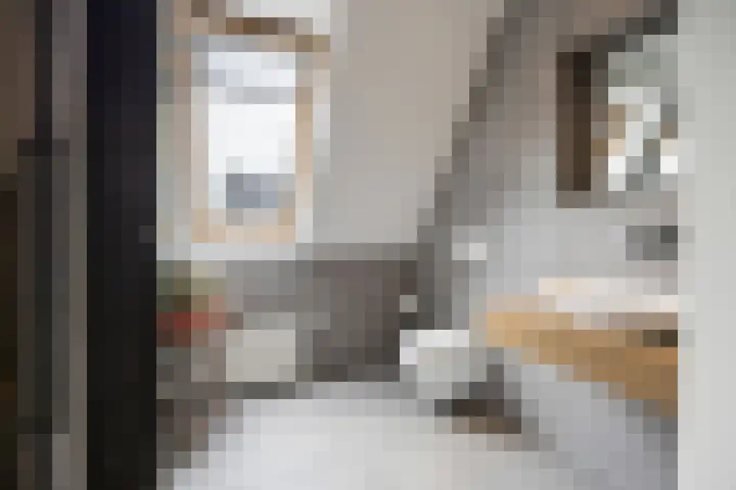 Sterrenzand 20 Deest thumbnail 23