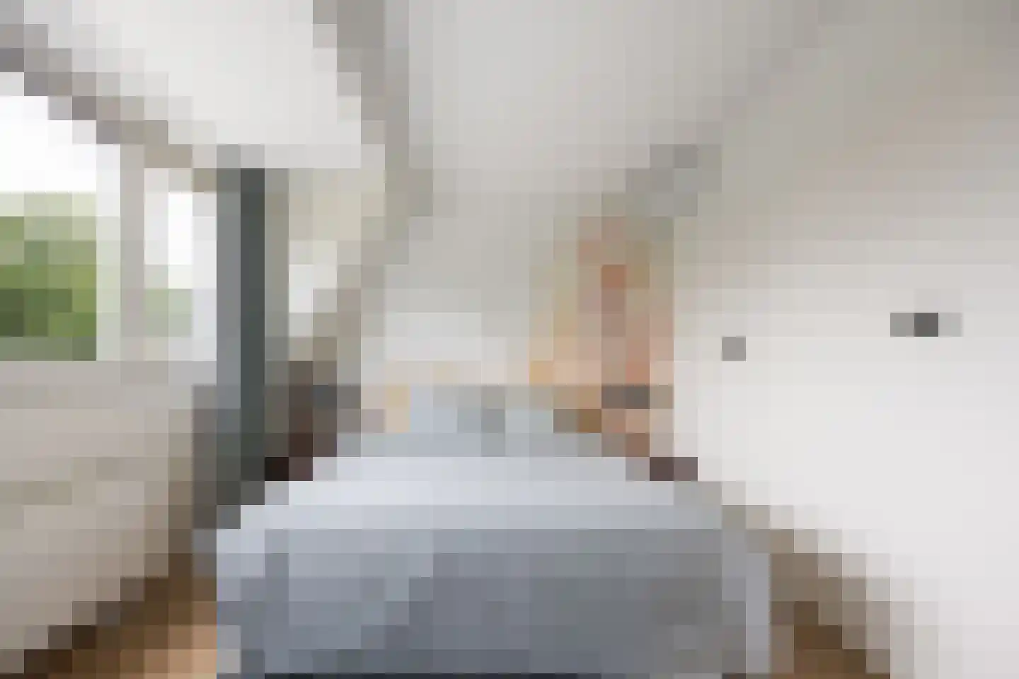 Sterrenzand 20 Deest thumbnail 27