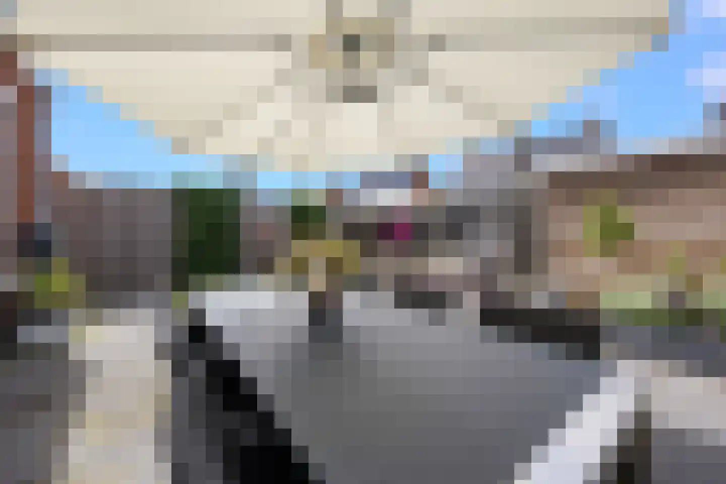 Sterrenzand 20 Deest thumbnail 35