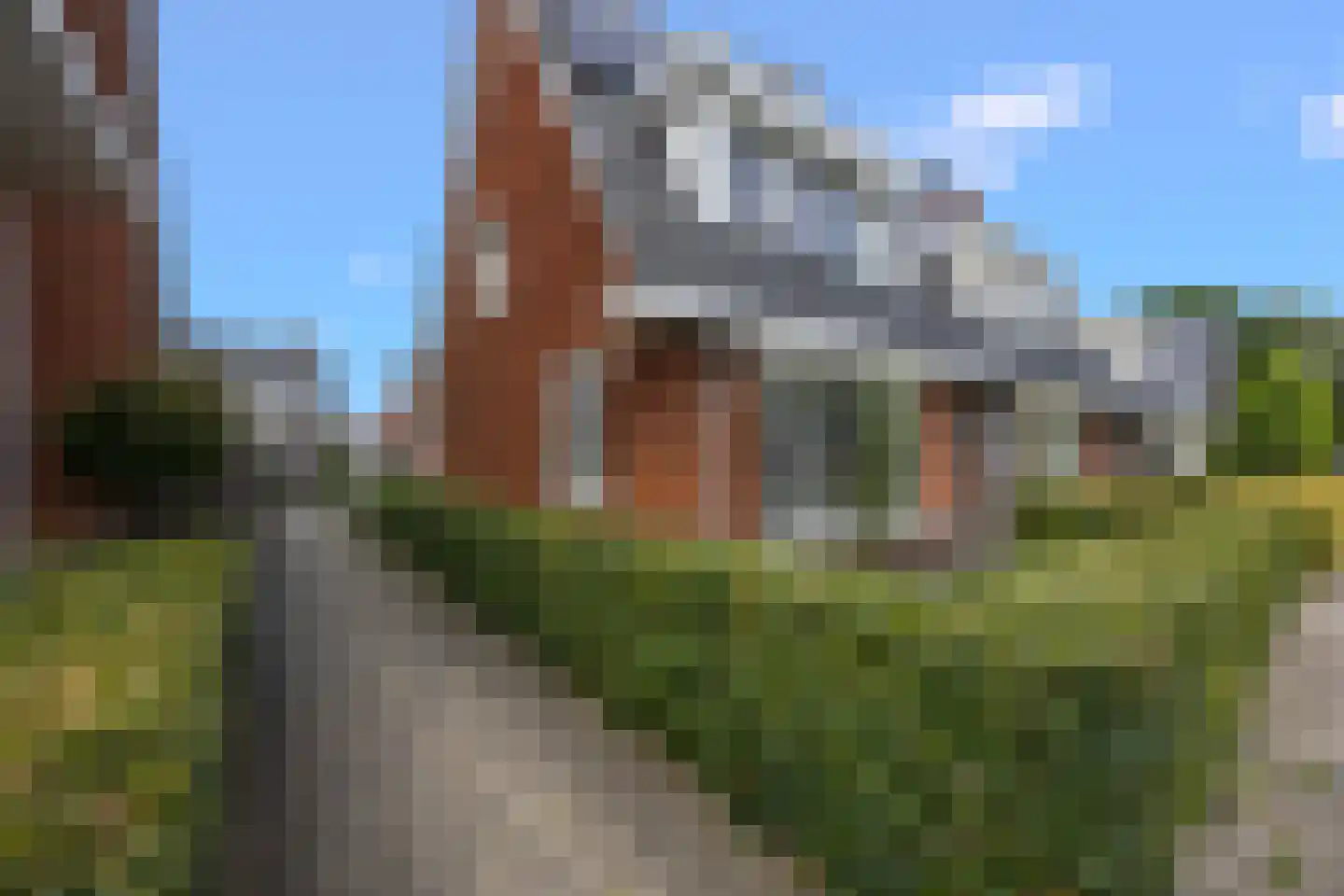 Sterrenzand 20 Deest thumbnail 39