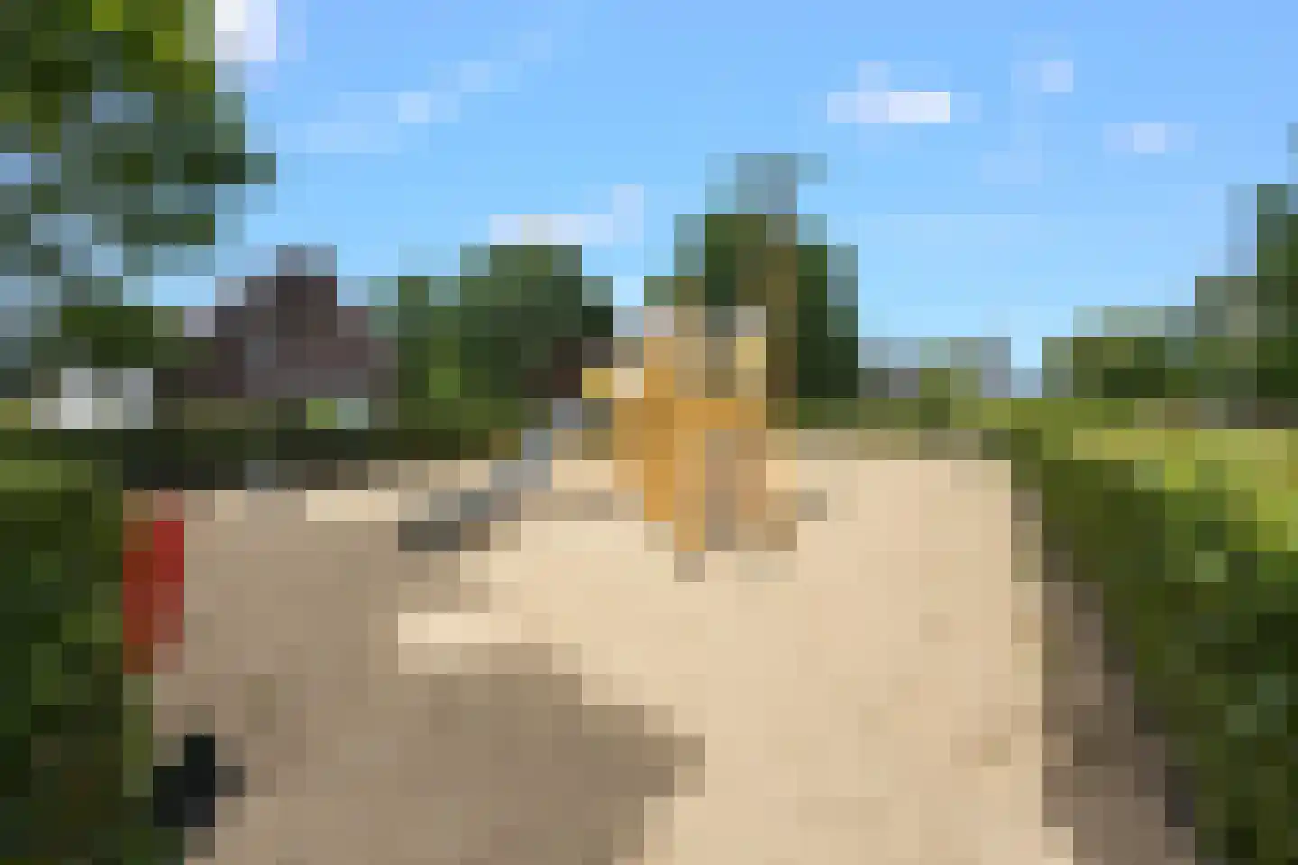 Sterrenzand 20 Deest thumbnail 43
