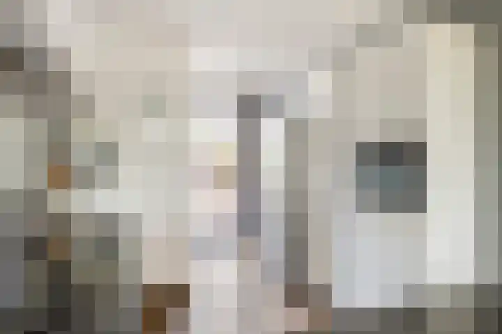Sterrenzand 22 Deest thumbnail 15
