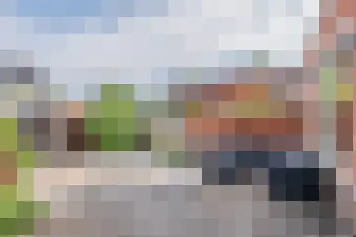 Sterrenzand 22 Deest thumbnail 35