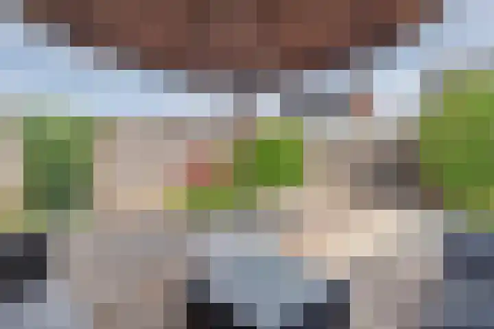 Sterrenzand 22 Deest thumbnail 36