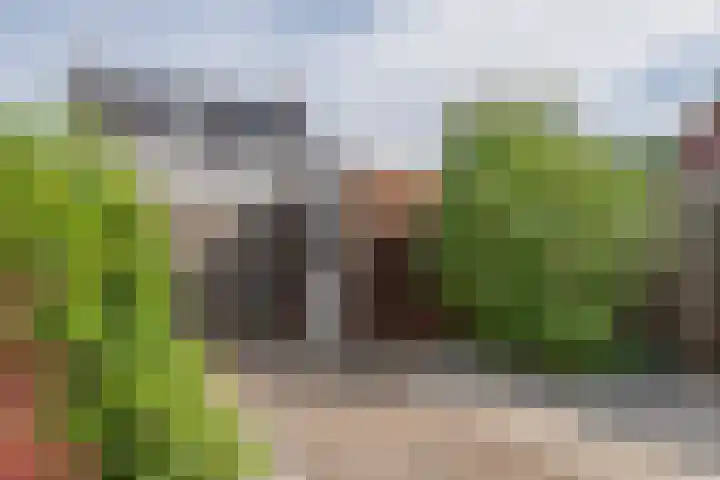 Sterrenzand 22 Deest thumbnail 38