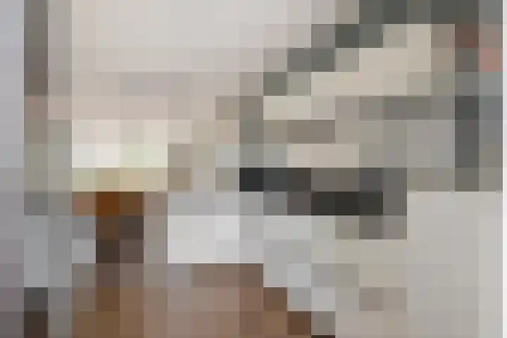 Sterrenzand 22 Deest thumbnail 4