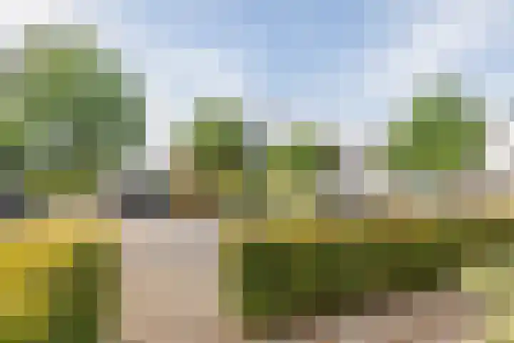 Sterrenzand 22 Deest thumbnail 40