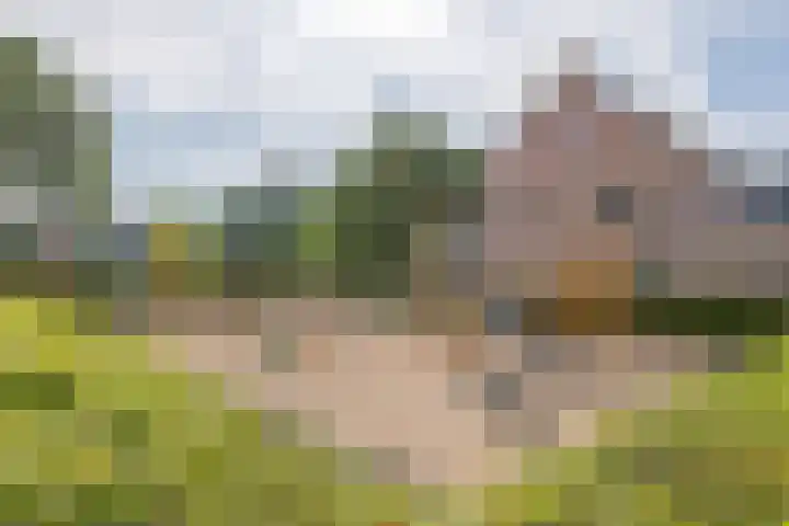 Sterrenzand 22 Deest thumbnail 41