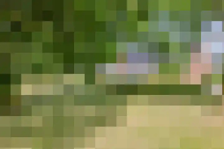 Sterrenzand 22 Deest thumbnail 42
