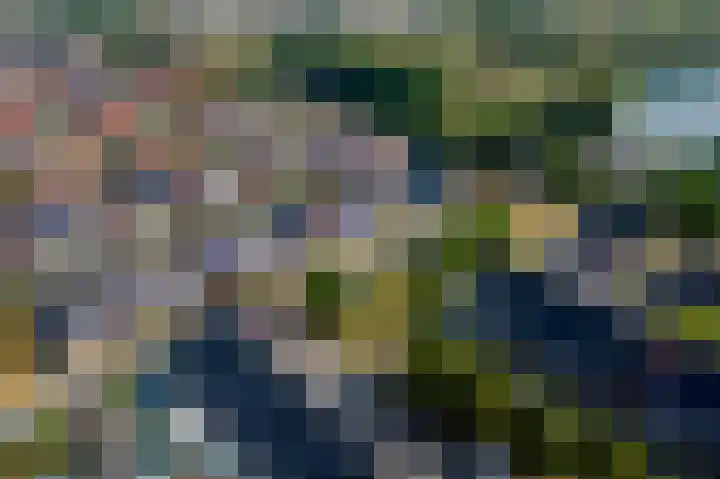 Sterrenzand 22 Deest thumbnail 44