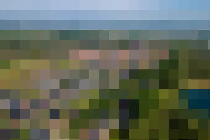 Sterrenzand 22 Deest thumbnail 45