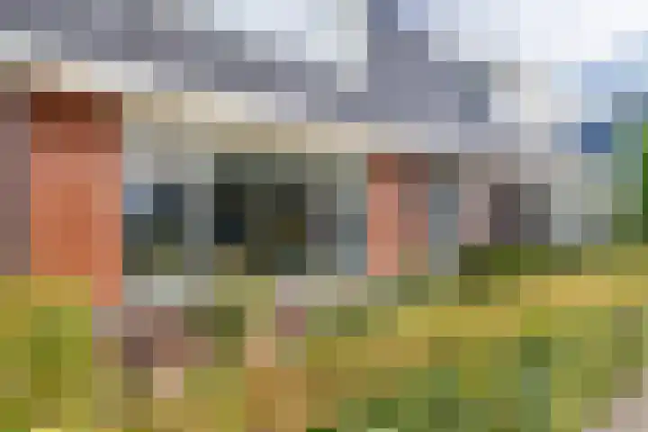 Sterrenzand 22 Deest thumbnail 5