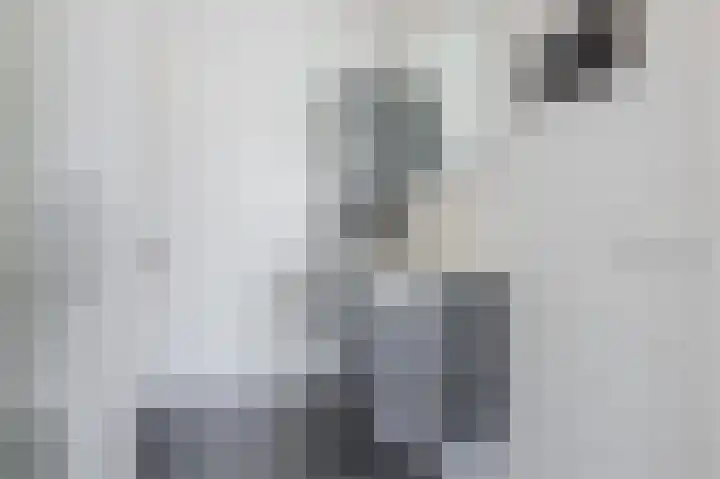 Sterrenzand 6 Deest thumbnail 19