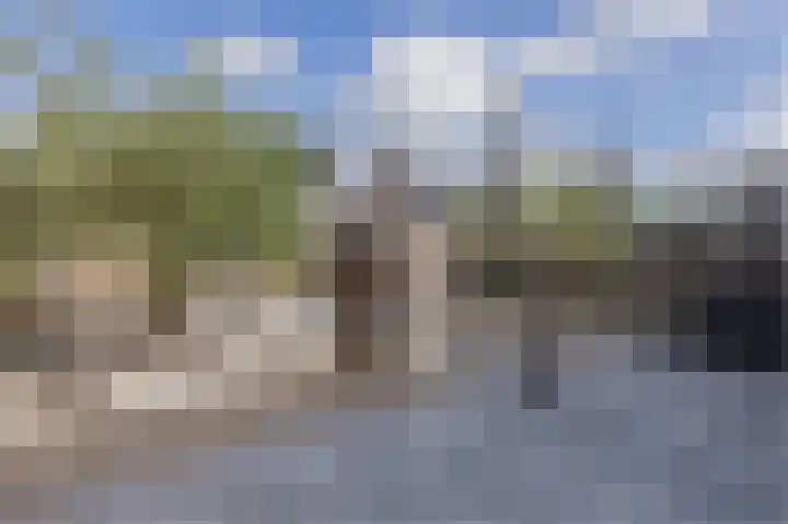 Sterrenzand 6 Deest thumbnail 33