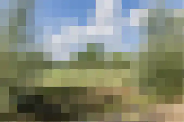 Sterrenzand 6 Deest thumbnail 42