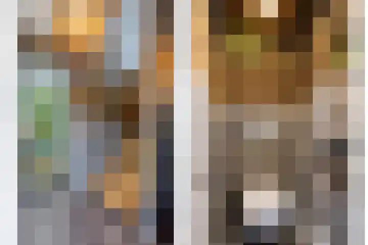 Sterreschans 112 Oegstgeest thumbnail 10