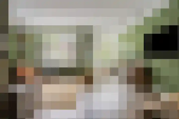 Sterreschans 112 Oegstgeest thumbnail 11