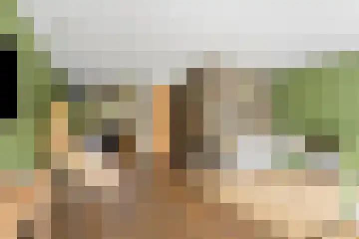 Sterreschans 112 Oegstgeest thumbnail 14