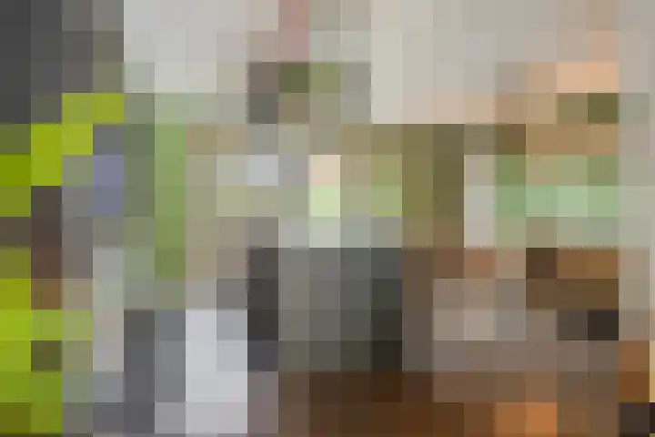 Sterreschans 112 Oegstgeest thumbnail 18