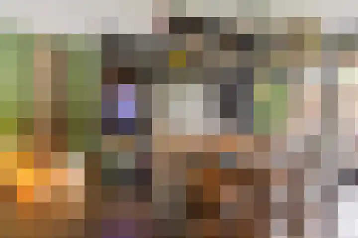 Sterreschans 112 Oegstgeest thumbnail 19