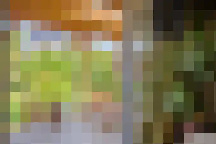 Sterreschans 112 Oegstgeest thumbnail 21