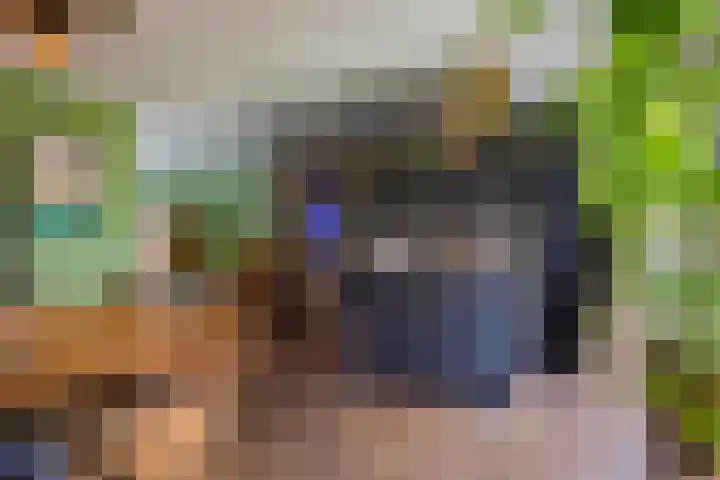 Sterreschans 112 Oegstgeest thumbnail 23