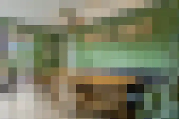 Sterreschans 112 Oegstgeest thumbnail 24